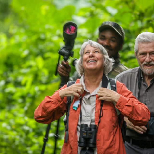 Belize Birding Tour