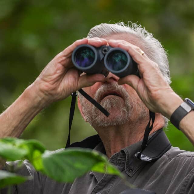 Belize Birding Tour