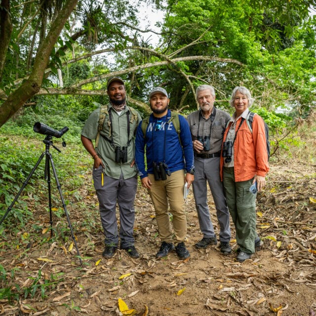Belize Birding Tour