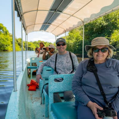 Crooked Tree Birding Tour