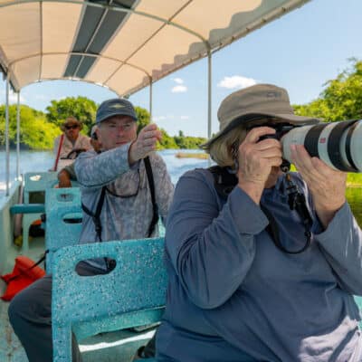 Crooked Tree Birding Tour