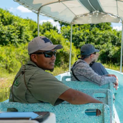 Crooked Tree Birding Tour