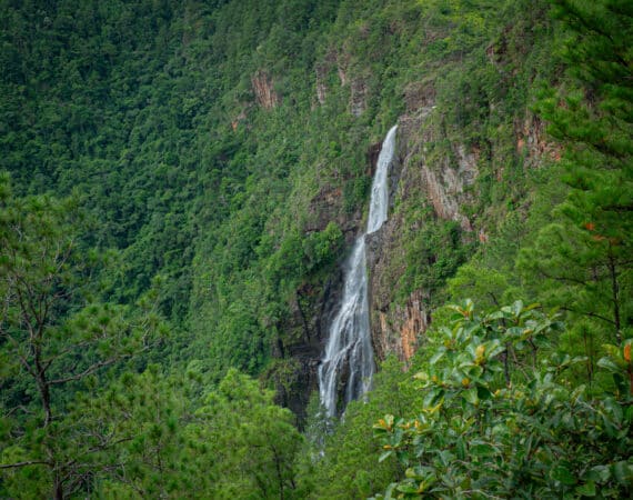 Thousand Foot Falls