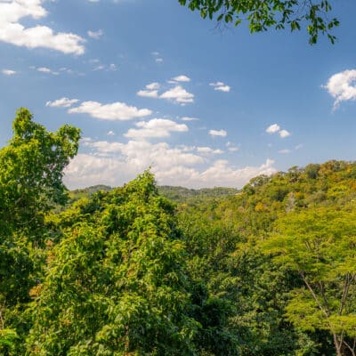 MayaWalk Ziplining Photo